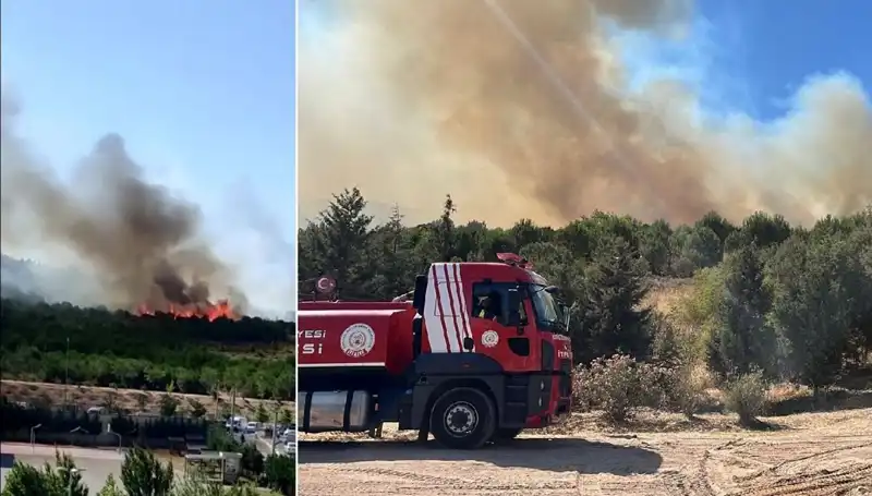 Gebze'de Orman Yangını: Yangınla Mücadelede Kahramanlar ve Son Gelişmeler