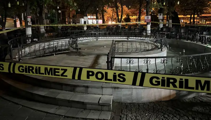 Kırklareli'nde Süs Havuzu Kazası: Dört Kişi Hastaneye Kaldırıldı