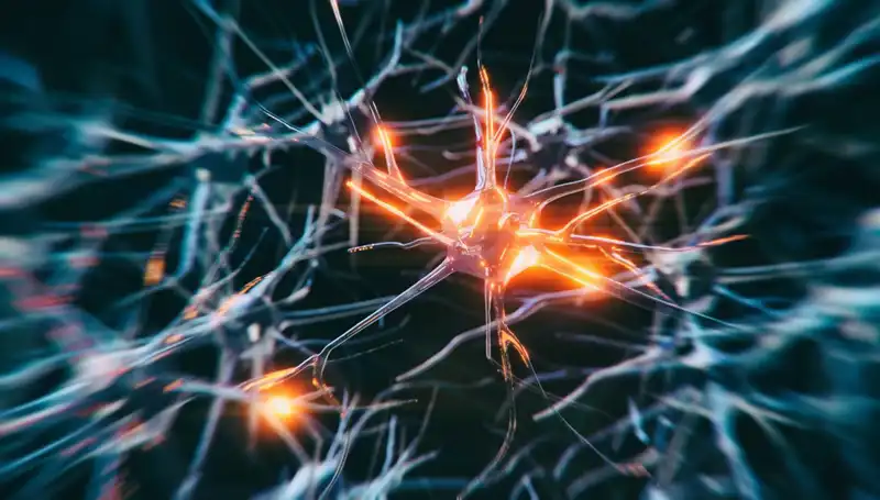 Alzheimer Vakalarındaki Endişe Verici Artış: Nedenleri ve Çözümleri