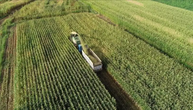 2025 Mart’ta Mazot ve Gübre Desteği Ödemeleri: Son Durum ve Beklentiler