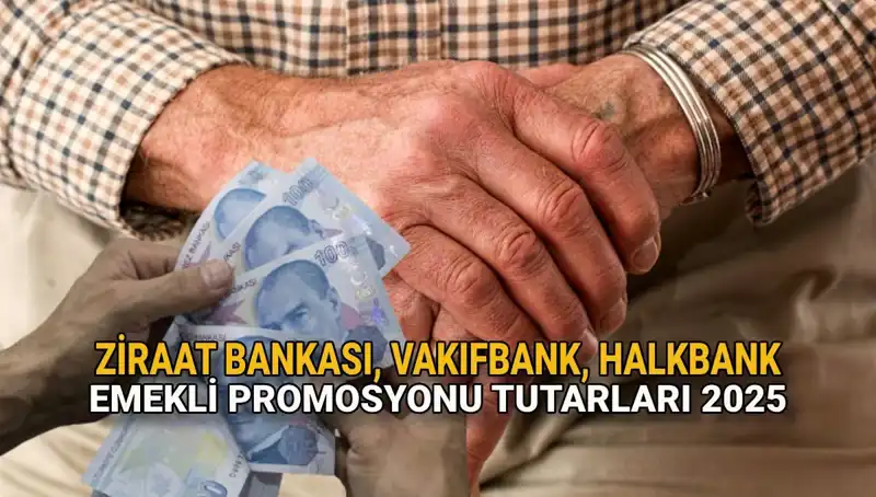 2025 Emekli Banka Promosyonlarında Son Durum: Kamu Bankaları Ne Sunuyor?