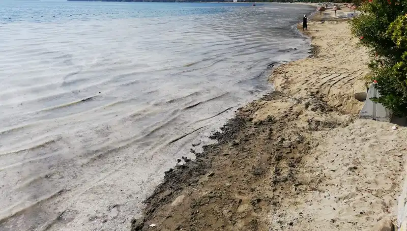 Müsilajla Mücadelede Son Durum: 268 İşletme Faaliyetine Ara Verdi