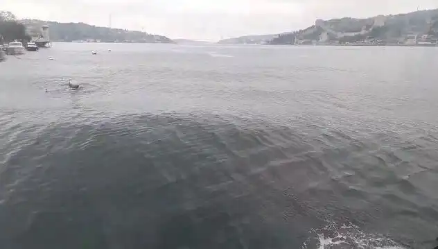 İstanbul Boğazı'nda Dalgalar Yükseliyor: Deniz Hattında Tehlike Sinyalleri