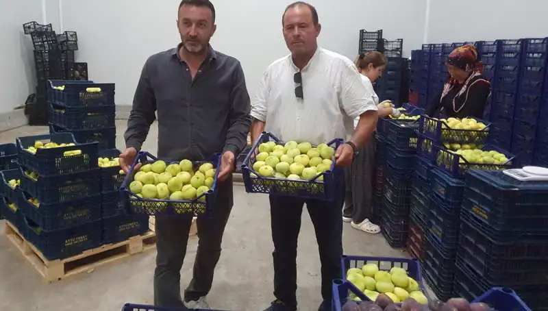 Mersinli Çiftçinin Yüzü Güldü: 20 TL'den İhraç Olan Ürünler