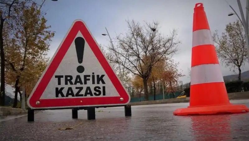 Giresun'da Faciaya Yol Açan Kaza: 1 Kişi Hayatını Kaybetti