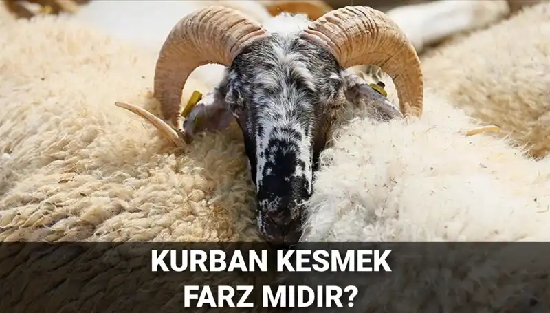 Diyanet’e Göre Kurban Kesmek Farz mı? Tüm Şartlar ve Gereklilikler