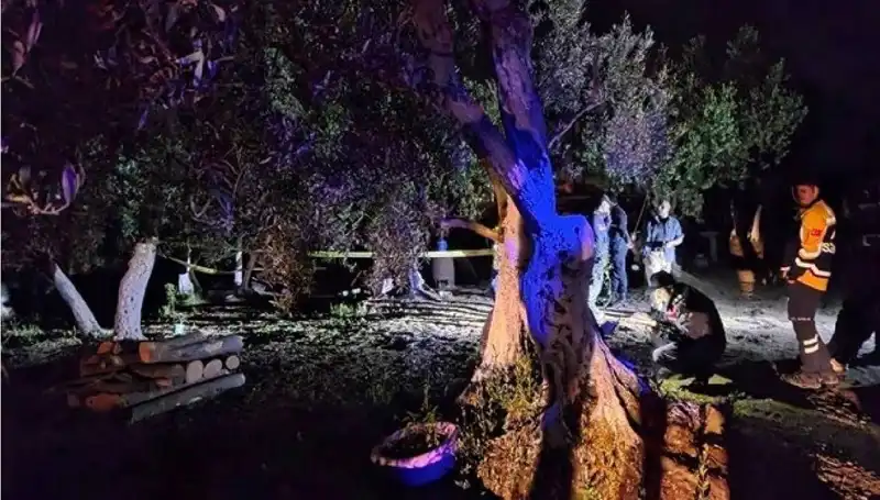 Çiftlikteki Baltalı Vahşetten Sonra Bir Tutuklama Gerçekleşti