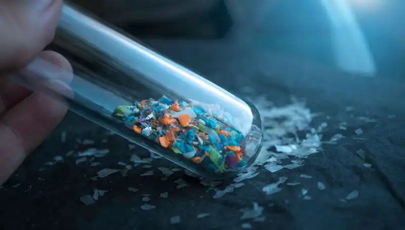 Mikroplastikler İnsan Beyninde: Sağlığımız Üzerindeki Etkileri Neler?