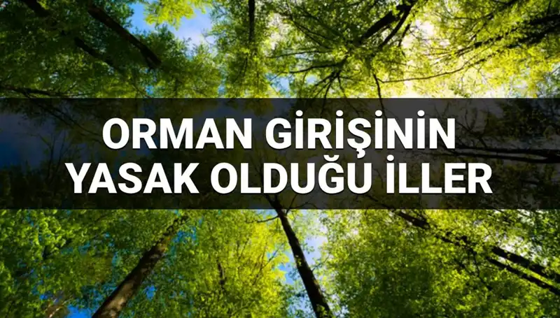2025'te Orman Girişi Yasaklanan İller Hakkında Bilmeniz Gerekenler