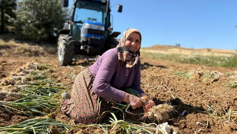 Selenyum Deposunda Sıfır Atık: Tarladan Günde 1.200 Lira Kazanmanın Yolu