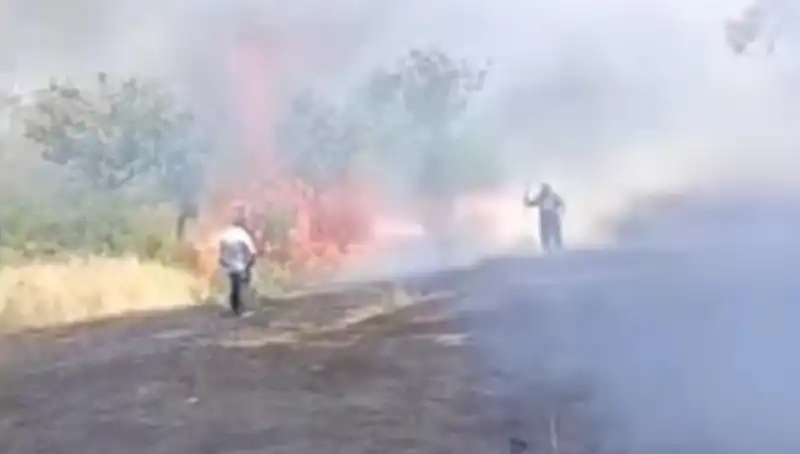 Çayın Keyfi İçin Yakılan Ateş, Fıstık Ağaçlarını Kül Etti!