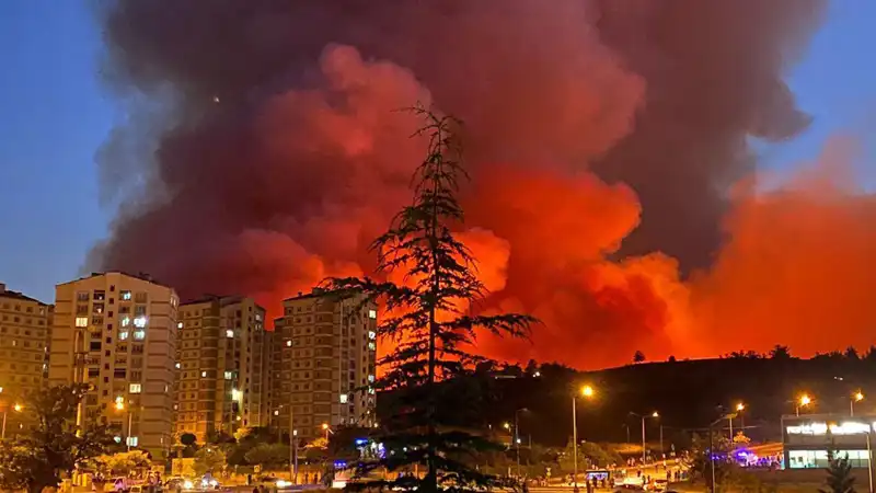 Bursa’da Yangınlar Kenti Tehdit Ediyor: Nedenleri ve Etkileri
