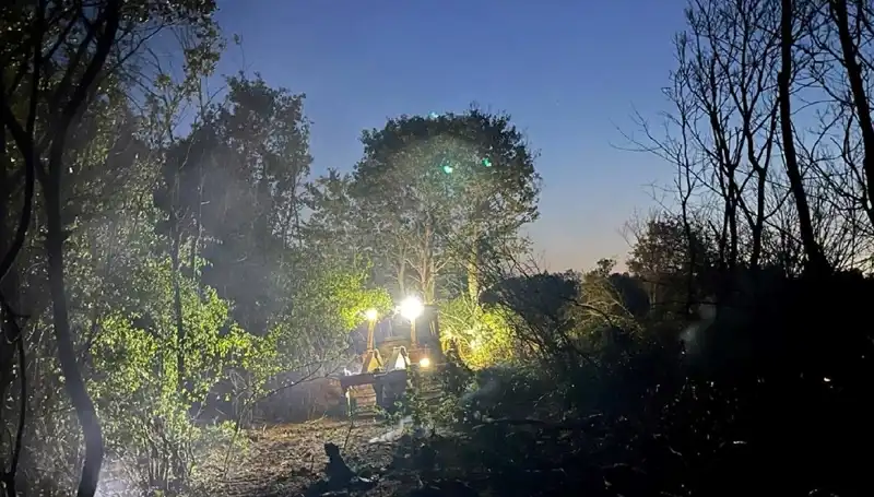 Edirne Orman Yangını Kontrol Altına Alındı: Canlıların Kurtuluşu İçin Çabalar Sürüyor