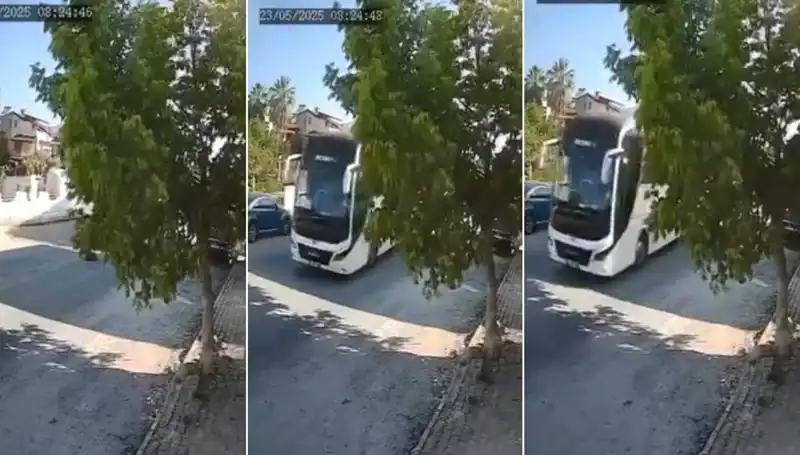 Yolda Yatan Köpeğe Dikkat Etmeyen Sürücünün Şok Edici İhlali!