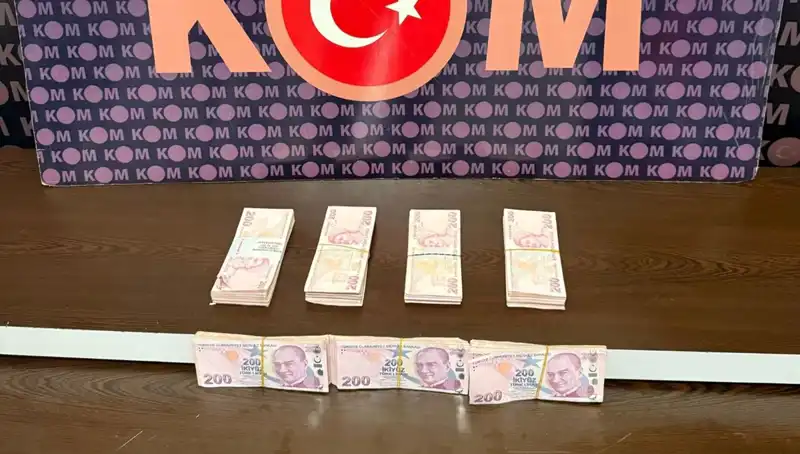 Orman Muhafaza Memurlarına Rüşvet Gözaltısı: Yolsuzluk Skandalı Patlak Verdi!