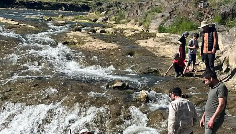 İnci Kefali Göçü: Doğa Harikasıyla Buluşturan Macera