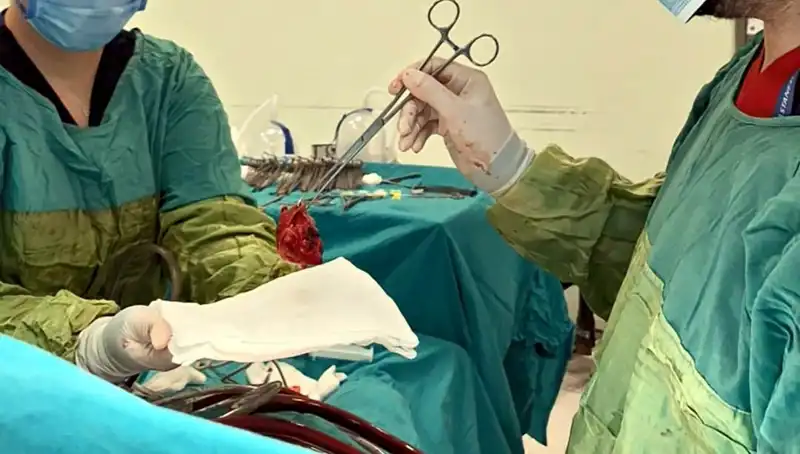7 Saat Süren Ameliyatla Kalp Kapağı Çürümüş Hastaya Mucizevi Müdahale